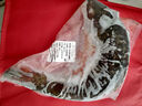 微山湖野生鯉魚(yú)四鼻鯉魚(yú)新鮮活魚(yú)現殺凈膛漁民捕撈 微山湖野生鯉魚(yú) 3斤/條(宰殺好15-20%損耗) 曬單實(shí)拍圖