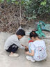ABC KIDS兒童運動(dòng)鞋秋季舒適網(wǎng)鞋時(shí)尚男童鞋女童跑步鞋3640PY白紫33 曬單實(shí)拍圖