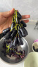 【新貨上市】特大號(hào)扇貝肉純野生海捕新鮮扇貝冷凍海鮮帶冰保鮮 扇貝肉400g*7 曬單實(shí)拍圖