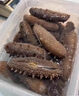 遼參大連淡干海參野生海鮮海產(chǎn)特產(chǎn)送禮遼刺參500g禮盒高泡發(fā) 500g禮盒/一斤裝 30/40頭 曬單實(shí)拍圖