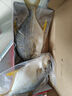 翔泰 冷凍二去金鯧魚禮盒2斤2條凈重 免處理 生鮮魚類 海鮮水產(chǎn) 曬單實拍圖
