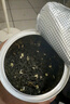 一杯香茶葉茉莉花茶飄雪橫縣濃香250g散裝新茶茉莉綠茶花草茶自己喝送禮 曬單實(shí)拍圖