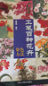 工筆百種花卉 染色方法 鄭瑞章 繪 天津人民美術(shù)出版社【正版書】 曬單實(shí)拍圖