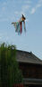 騰龍（Tamron）B070 17-70mm F/2.8 Di III-A VC RXD防抖大光圈微單鏡頭風(fēng)光人像旅行 富士X卡口 保稅倉 快可次日達 曬單實(shí)拍圖