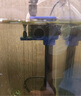 格池（GRECH）格池潛水泵抽水泵CQJ-500G款 2.5W 凈水增氧過(guò)濾泵三合一過(guò)濾水泵 曬單實(shí)拍圖