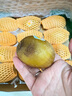 佳沛（zespri）新西蘭 陽(yáng)光金果12粒單果約122-146g 獼猴桃 中秋水果禮盒 曬單實(shí)拍圖