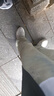 特步（XTEP）男鞋運動鞋子男夏季新款網(wǎng)面透氣軟底休閑鞋輕便減震耐磨跑步鞋男 帆白/灰黛藍(lán) (網(wǎng)面) 42 曬單實拍圖