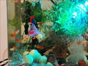 寵小俠純種孔雀魚(yú)觀賞魚(yú)好養(yǎng)耐活淡水小型魚(yú)熱帶魚(yú)鳳尾熱帶魚(yú)小魚(yú)苗 練手孔雀2-3cm15條（10送5備損） 曬單實(shí)拍圖