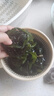 裙帶菜 鮮海帶非干貨海帶嫩苗兒童海菜海白菜海藻菜涼拌 裙帶菜嫩葉500g 曬單實拍圖