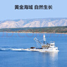 京東京造 大連冷凍即食海參1000g 14-30只 固形物大于70% 遼刺參  曬單實拍圖
