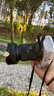 適馬（SIGMA）18-50mm F2.8 DC DN｜Contemporary 恒定大光圈標準變焦人像鏡頭 適馬1850半畫幅微單相機掛機鏡頭 佳能RF卡口 6期免息【主圖配件+0元限時升級套餐一】 曬單實拍圖