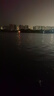 小鳳仙錘頭尾夜光漂醒目魚漂野釣加粗橄欖尾大物日夜兩用電子漂鰱鳙浮漂 L-DJ03 綜合鯽鯉 吃鉛約2.3g 日夜兩用(咬鉤變色)1支裝 曬單實(shí)拍圖