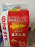 金龍魚 五常大米 6步鮮天賦五常 東北大米 10斤  曬單實(shí)拍圖