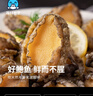 海鮮世家三去鮑魚肉 100g嘗鮮裝 10-15粒 火鍋燒烤食材  貝類海鮮生鮮 曬單實拍圖