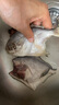 野生海捕銀鯧魚(yú)5條/斤新鮮冷凍批發(fā)海鮮水產(chǎn)白鯧魚(yú)一箱海魚(yú)扁平魚(yú) 野生海捕銀鯧魚(yú)500g/袋*2（10條） 曬單實(shí)拍圖