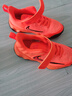 NIKE【滔搏】兒童籃球鞋GIANNIS IMMORTALITY4PS小童運(yùn)動鞋IH7665-800 IH7665-800 31 曬單實(shí)拍圖