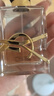 圣羅蘭（YSL）自由之水50ml女士香水禮盒禮盒化妝品生日禮物送女友 曬單實(shí)拍圖