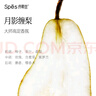 Spes詩(shī)裴絲控油蓬松顯臉小發(fā)絲補水柔順男女士玻尿酸洗發(fā)水500ml 曬單實(shí)拍圖