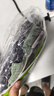 MELON IN內褲男純棉大碼抗菌除濕7A級吸汗透氣四角短褲頭769B 4XL碼 曬單實(shí)拍圖