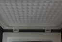 榮事達(dá)（Royalstar）小冰柜家用小型冷凍保鮮迷你冷藏商用臥式冷柜單用儲(chǔ)母乳柜節(jié)能省電 【萬人推薦 一級(jí)節(jié)能】單溫 58L 曬單實(shí)拍圖