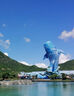 【長(cháng)隆門(mén)票】珠海長(cháng)隆海洋王國門(mén)票珠海長(cháng)隆飛船樂(lè )園門(mén)票珠海長(cháng)隆秀卡卡虎奇遇記門(mén)票可選 珠海長(cháng)隆飛船樂(lè )園特定日 標準票 曬單實(shí)拍圖
