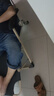 奧凱弗折疊床躺椅辦公室午休椅單人床午睡椅午休床陪護床 帶加固支撐桿 曬單實拍圖