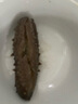 山姆 冷凍即食海參 500g 500g 曬單實(shí)拍圖