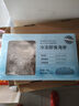 山姆 冷凍即食海參 500g 500g 曬單實拍圖