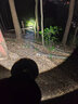 牛王頭燈強光超亮led戶(hù)外照明燈工地巡邏趕海應急充電超長(cháng)續航釣魚(yú)燈 DW190【旗艦四核】95燈杯【18W】續航18H 白光 曬單實(shí)拍圖