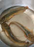 谷蜀香魚(yú)粉釣魚(yú)專(zhuān)用誘魚(yú)劑野釣餌料強效濃腥小藥打窩子開(kāi)口鯽魚(yú)鯉魚(yú)鰱鳙體驗款【1瓶裝】迅速誘魚(yú) 曬單實(shí)拍圖