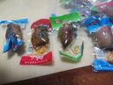 瑞松魷魚(yú)仔溫州特產(chǎn)童年零食熟食小魷魚(yú)仔即食散裝墨魚(yú)仔特產(chǎn) 泡椒味魷魚(yú)仔稱(chēng)重500g 曬單實(shí)拍圖