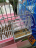 乖卷小油葵瓜子鸚鵡零食鳥磨嘴糧食訓(xùn)練獎(jiǎng)勵(lì)食物虎皮牡丹玄鳳鳥糧400g 曬單實(shí)拍圖