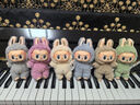 泡泡瑪特/POPMART 官方正品 LABUBU心動(dòng)馬卡龍拉布布搪膠盲盒掛件毛絨手辦 【馬卡龍】全新整端6個(gè)概率隱藏 【官方正品  順豐包郵】 曬單實(shí)拍圖