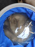 千峰劍魚(yú)竿手竿套裝釣魚(yú)竿裝備全套一套超輕溪流桿短節海竿品牌漁具用品 6.3m +5.4+釣魚(yú)禮包+椅 曬單實(shí)拍圖