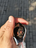 北京同仁堂【全網(wǎng)熱銷(xiāo)70w+】五珍桑葚黑芝麻丸球無(wú)糖核桃仁桑葚老人孕婦零食 五珍黑芝麻丸500g 曬單實(shí)拍圖