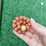 古木匠精品猴頭手串精雕京八棱粗筋南瓜粧手持文玩核桃原籽手鏈男士女款 【嚴(yán)選S級(jí)-精雕】京八棱12mm蜜蠟款 曬單實(shí)拍圖
