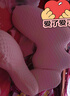 祺加質(zhì)品（CHECA GOODS）睡覺(jué)抱枕夾腿床上沙發(fā)靠枕長(cháng)條抱枕女生成人孕婦抱枕玩偶側睡抱枕 曬單實(shí)拍圖