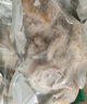 一蝦一世界鮮活冷凍小八爪魚(yú) 三去迷你章魚(yú)仔去齒去內臟 火鍋燒烤年夜飯食材 免處理中號 3斤(凈重)  4-6只/斤 曬單實(shí)拍圖