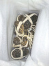 【活蟹】乾澄大閘蟹現(xiàn)貨 全母2.3-2.6兩8只 六月黃鮮活螃蟹去繩足重海鮮禮盒裝源頭直發(fā) 曬單實(shí)拍圖