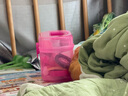 泰芬樂仿真兒童化妝品套裝女孩生日禮物過家家玩具3-6歲公主化妝玩具 曬單實(shí)拍圖