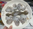 新鮮鮮活冷凍短腿章魚(yú)足小八爪魚(yú)迷你新鮮小章魚(yú) 500g /袋（15個(gè)左右） 500克(凈重)  鮮凍小八爪【1斤】 曬單實(shí)拍圖
