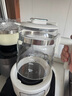 摩飛電器（Morphyrichards）全玻璃養(yǎng)生壺家用燒水壺多段控溫電熱水壺極速風(fēng)冷恒溫壺沖奶泡奶機MR5602 1.2L 椰奶白 曬單實拍圖
