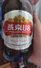 燕京啤酒 U8小度酒500ml*12瓶  新老包裝交替發(fā) 冰爽暢飲 整箱裝 曬單實(shí)拍圖