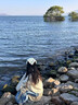 麗紗蓓兒三角巾法式復(fù)古頭巾海邊田園風(fēng)針織發(fā)帶鏤空花朵頭飾旅行拍照穿搭 藍(lán)色【雛菊】三角頭巾 曬單實(shí)拍圖