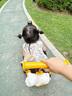 倍貝樂挖掘機(jī)可坐人可挖土2-9歲兒童電動(dòng)車工程3-6歲男孩挖土機(jī)生日禮物 高配【全電動(dòng)+推桿+大電瓶早教】 大型遙控挖機(jī)小孩寶寶電動(dòng)車 曬單實(shí)拍圖