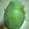 京鮮生 攀枝花凱特芒果 凈重8.5斤 帶箱9斤 單果400g+ 生鮮水果源頭直發(fā) 曬單實拍圖