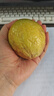 京鮮生 欽蜜9號黃金百香果 5斤單果90g+ /20-30個 生鮮水果 源頭直發(fā) 曬單實拍圖