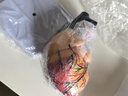藍蝶教學(xué)1：1人體心臟解剖結構模型可拆卸成人自然大心臟B超彩超彩超聲科教具 循環(huán)系統心內科心臟血管 自然大心臟無(wú)標識款 曬單實(shí)拍圖