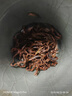 英紅牌英紅九號紅茶濃香型一級紅茶500g大份量罐裝自飲年貨送禮工夫茶 曬單實拍圖