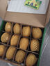 佳沛（zespri）新西蘭 陽(yáng)光金果12粒單果約122-146g 獼猴桃 中秋水果禮盒 曬單實(shí)拍圖